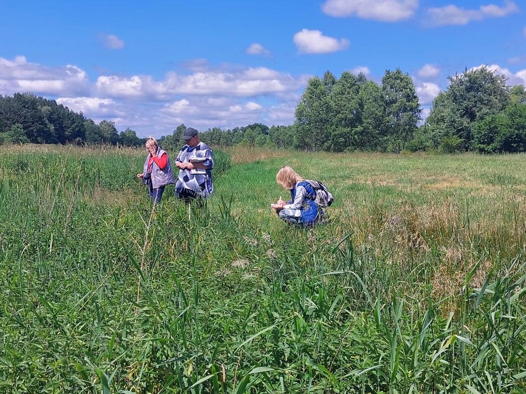 Badania geobotaniczne w 2024 roku